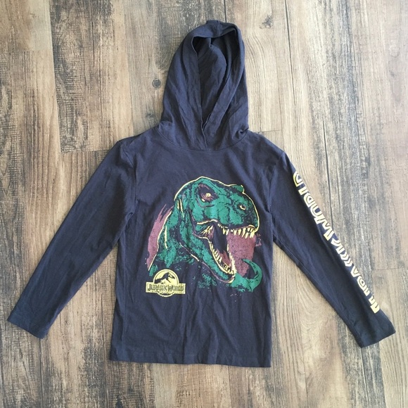 Dinosaur Jurassic World Graphics Hoodie - Picture 1 of 4